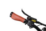 RX4.0 750W 48V 20inch Fast Folding Fat Tire Full Suspension Ebike for Adult