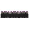 Raised Bed 47.2"x15.7"x9.1" Polypropylene