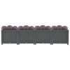 Raised Bed 63"x15.7"x15" Polypropylene